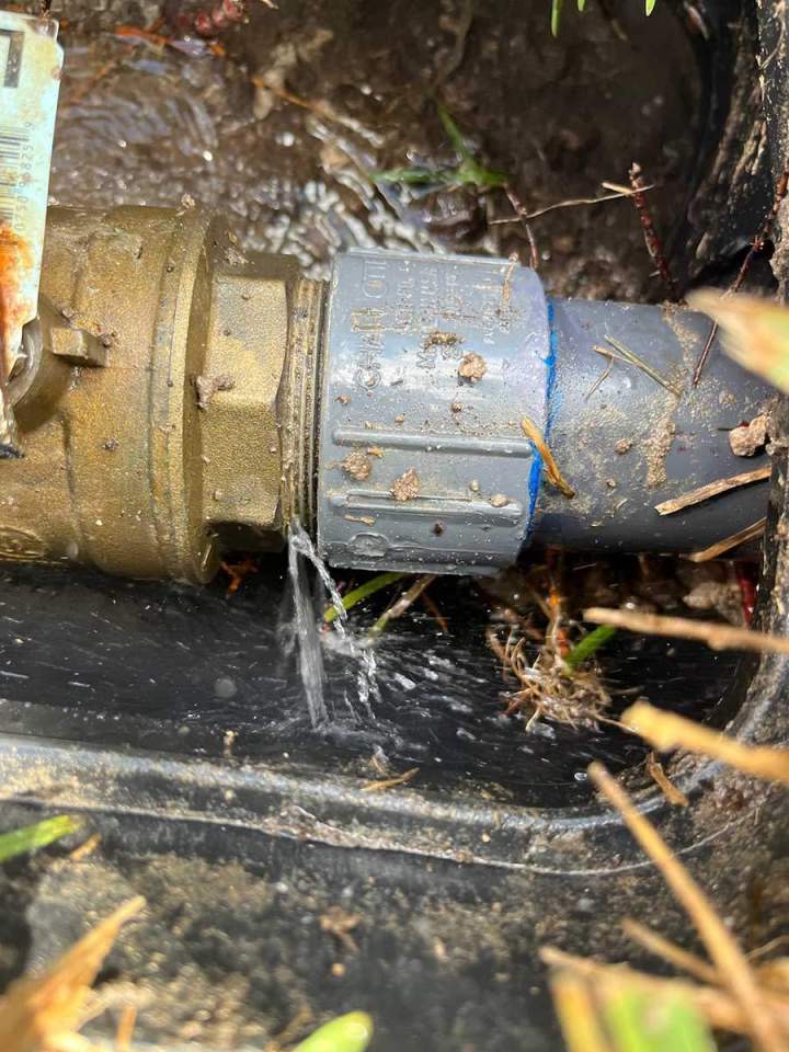 Leak Detection Homestead